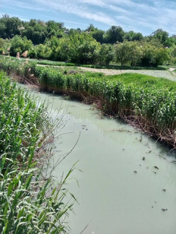 В Мариуполе экологический коллапс: в городском парке образовалась &quot;река&quot; из канализационных стоков